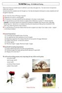 The Little Prince by Antoine de Saint-Exupéry: Final Writing Project