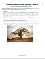 The Little Prince by Antoine de Saint-Exupéry: Chapter questions, Ch 5