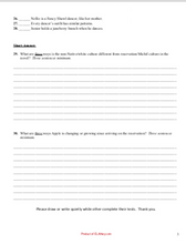 Apple in the Middle essay Test