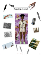 Pet by Akwaeke Emezi classroom resources materials