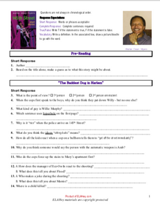 The Baddest Dog in Harlem by walter dean myers reading questions for high school