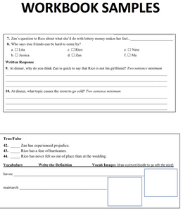 middle school resources for Jackpot by Nic Stone classroom materials chapter questions for jackpot novel summary graphic organizers