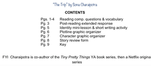 "The Trip" by Sona Charaipotra: Workbook & Identity Mini-Lesson Bundled (save $3)