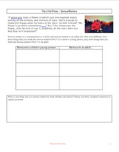 The Little Prince Graphic Organizers (theme, serious matters)