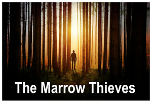 The Marrow Thieves by Cherie Dimaline: Novel Workbook, Maps, Classroom Ideas, etc.